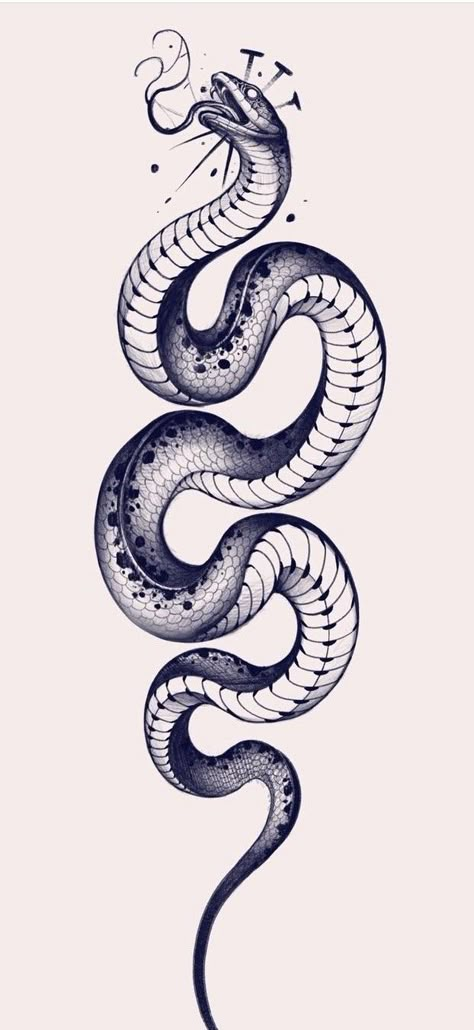 Black Snake Tattoo Design, Snake Drawing Tattoo, Snake Tattoo Sketch, Snake Tattoo Stencil, Cobra Tattoo Design, Snake Tattoo Drawing, Snake Drawings, Black Snake Tattoo, Snake Sketch