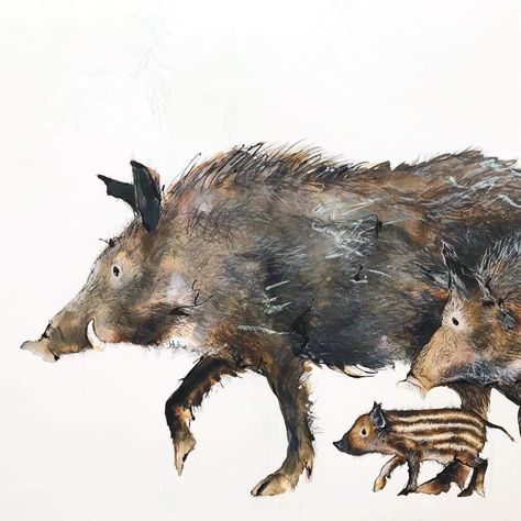 One of my favourite commissions this year so far. The Secret Visitors - an Italian family of wild boar who enjoy digging up the garden in the middle of the night... Rarely spotted but evidence left!! So lovely to paint - you may have seen my video of them being painted earlier this year.... (Painting size 110cm x 68cm. Liquid acrylic, water colour and pencil) Wild Boar Photography, Wild Boar Painting, Wild Boar Illustration, Wild Boar Art, Boar Illustration, Boar Art, Catherine Rayner, British Wildlife Art, Moose Family