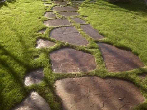 Stepping Stone Pathway, Stepping Stone Walkways, Walkway Landscaping, Walkway Design, Outdoor Walkway, Walkways Paths, Stone Walkway, Garden Walkway, Stone Pathway