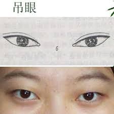 Japanese Eyes Drawing at PaintingValley.com | Explore collection of Japanese Eyes Drawing Asian Eye Shapes, Feminine Reference, Slanted Eyes, Makeup For Hooded Eyelids, Eye Makeup Guide, Protruding Eyes, Japanese Eyes, Wide Set Eyes, Draw Reference