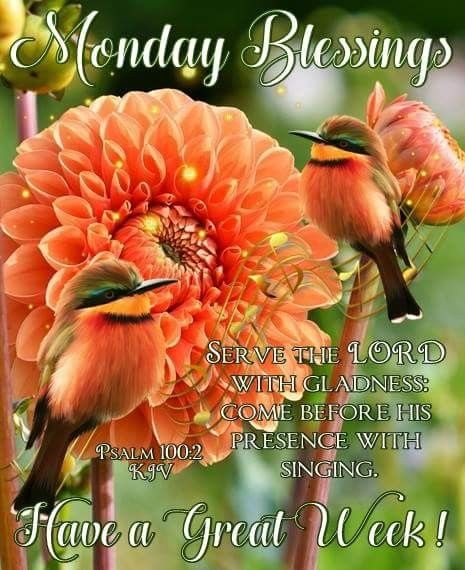 Monday blessings Weekly Blessings, Wednesday Blessings, Happy Monday Morning, Justified By Faith, Monday Morning Quotes, Good Monday Morning, Good Wednesday, Blessed Wednesday, Good Morning Wednesday