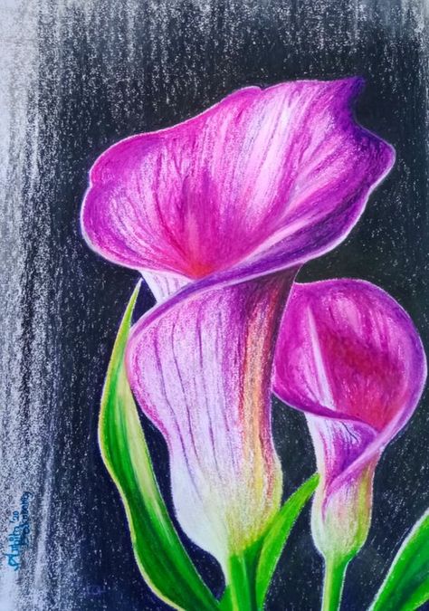 Art Drawings Oil Pastels, Paintings With Soft Pastels, Flower Pastel Painting, Chalk Pastel Flower Drawing, Soft Pastel Drawing Flowers, Flower Drawing With Oil Pastels, Pastel Artwork Easy Flowers, Soft Pastel Flowers Painting, Flower Painting Oil Pastel