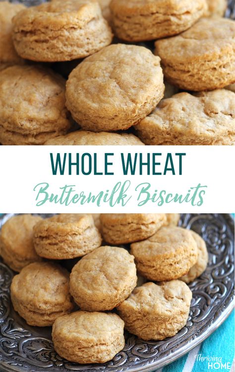 Whole Grain Biscuits, Whole Wheat Dessert Recipes, Whole Wheat Biscuits, Wheat Biscuits, Thriving Home, Breakfast Biscuits, Wheat Recipes, Healthy Freezer Meals, Tea Biscuits