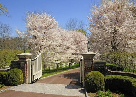 Driveway Entrance Landscaping, Farm Entrance, Brick Columns, Tree Lined Driveway, Driveway Entrance, Driveway Design, Entrance Gates Design, Driveway Landscaping, Greenwich Ct