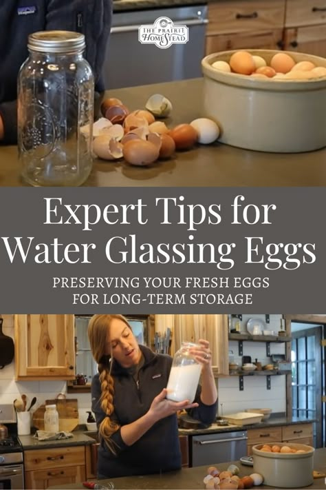 Canning Fresh Farm Eggs, Water Canning Eggs, Preserving Farm Fresh Eggs, Water Glassing Store Bought Eggs, Egg Storage Container, How To Glass Eggs, Fresh Chicken Eggs Storage, Long Term Egg Storage, Egg Glassing Recipe