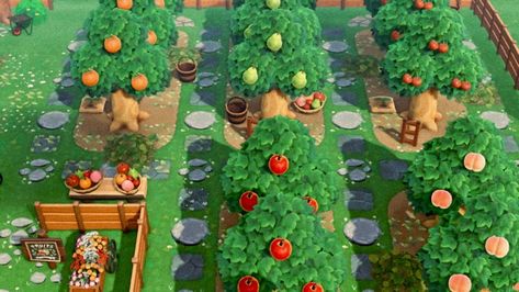 Orchard Ideas, Fruit Tree Garden, Orchard Design, Animal Crossing 3ds, Animals Crossing, Ac New Leaf, Animal Crossing Guide, Animal Crossing Qr Codes Clothes, Animal Crossing Wild World