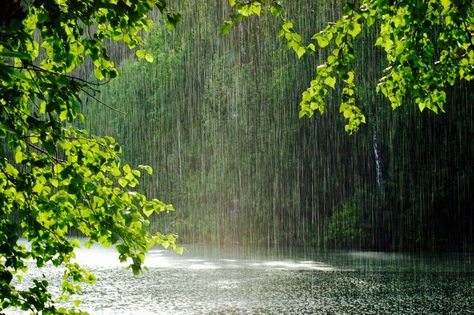 Rainy Wallpaper, Cozy Rainy Day, Rain Aesthetic, Monsoon Rain, Rainy Day Aesthetic, I Love Rain, Dark Landscape, Aesthetic Roses, Love Rain