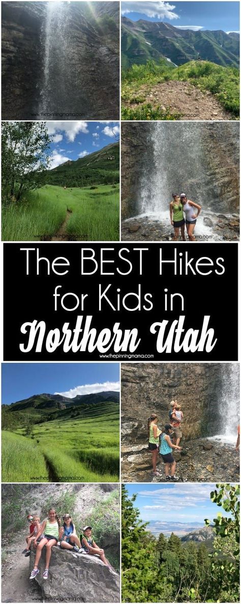 Kid Friendly Hikes in Northern Utah • The Pinning Mama Northern Utah Hikes, Northern Utah Things To Do In, The Pinning Mama, Utah Activities, Summertime Activities, Utah Hiking, Utah Summer, Kids Hiking, Utah Camping