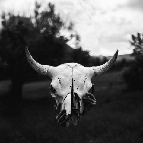 Cattle skull Cattle Skull, Tanzania Travel, Acacia Tree, Going On A Trip, How To Wake Up Early, Travel Photographer, Tanzania, Moose Art, Photography