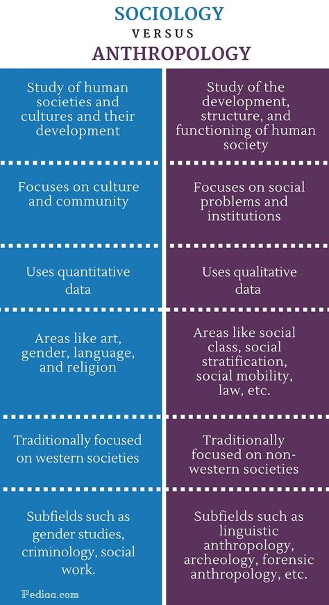 Difference Between Sociology and Anthropology- infographic Anthropology Infographic, Intro To Sociology, Anthropology Notes, Sociology Aesthetic, Infographic Photography, Anthropology Degree, What Is Anthropology, Anthropology Aesthetic, Social Anthropology