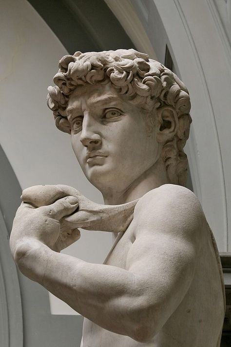 Male Body Sculpture, Sculpture Michelangelo, Classical Statues, Michelangelo Sculpture, David Painting, Roman Statues, David Michelangelo, Roman Statue, Classic Sculpture