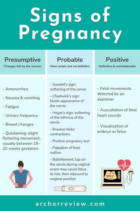 Signs of pregnancy can be probable, presumptive, or positive...do you know the difference? Save this nursing chart for later and check out Archer Review for more NCLEX cheat sheets, tips, and study tricks! Nclex Maternity Cheat Sheet, Sign Of Pregnancy, Archer Nursing, Maternity Nclex Review, Maternity Study Guide, Nursing Nclex Cheat Sheets, Nursing Maternity Cheat Sheet, Nclex Pn Tips Cheat Sheets, Nclex Cheat Sheets