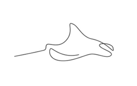 Stingray One Line Tattoo, One Line Stingray, Stingray Tattoo Minimalist, Sting Ray Line Tattoo, One Line Manta Ray Tattoo, Manta Ray Line Tattoo, Manta Ray Tattoo Minimalist, Minimalist Manta Ray Tattoo, Stingray Line Art