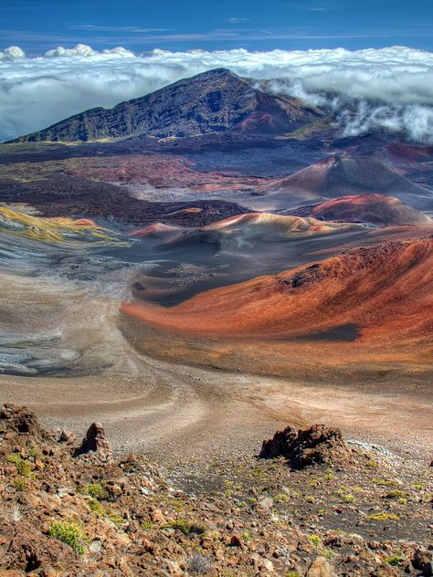 Hawaiian Legends, Haleakala National Park, Trip To Maui, National Parks Photography, Noise Pollution, Parks Canada, Quiet Beach, Olympic National Park, Endangered Species