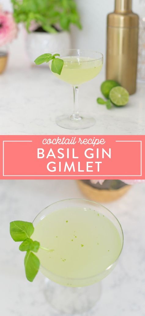 Basil Gimlet, Basil Drinks, Gin Gimlet, Basil Cocktail, Easy Gin Cocktails, Gimlet Recipe, Best Gin Cocktails, Gimlet Cocktail, Basil Lemonade