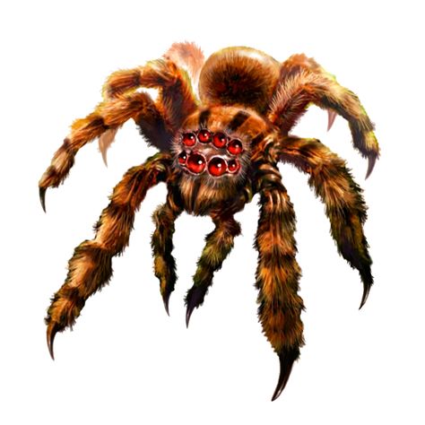 Wild Shape, Wolf Spider, Spider Queen, Giant Spider, Dragon Rpg, Spider Art, Dnd Monsters, Fantasy Monster, Scary Art