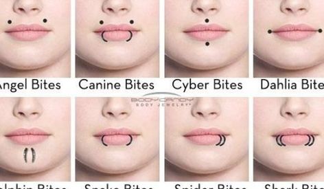 Lip piercing names Lip Piercing Names, Piercing Names, Piercings Face, Face Dermal, Piercing Facial, Piercings Tragus, Piercing Tongue, Piercings Nose, Double Cartilage