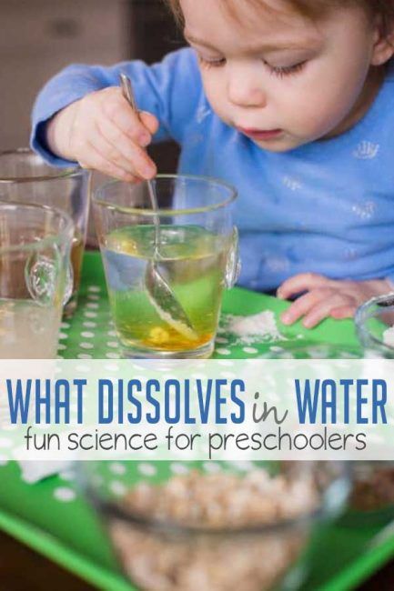 Learn about what dissolves in water with a preschool science experiment. You'll just need a few pantry staples and water! Wonderful Water Theme For Preschool, Wonderful Waters Theme For Toddlers, Water Theme Preschool Crafts, Water Fun Activities For Preschool, Preschool Water Study, Water Study For Preschool, Water Study Preschool, Prek Outdoor Activities, Steam For Preschoolers