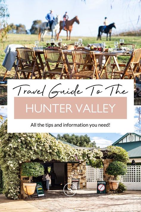 Hunter Valley Australia, Explore Australia, Wales Holiday, New Zealand Beach, Australia Itinerary, Health Retreat, Visit New Zealand, Australia Travel Guide, Winery Tours