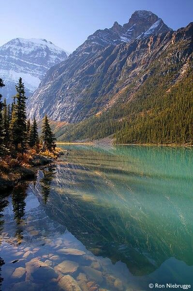 Jasper,  Canada Jasper National Park Canada, Jasper Alberta, Icefields Parkway, Mountain Goats, Canada National Parks, Amazing Scenery, Parks Canada, Jasper National Park, Oh Canada