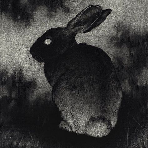 Rabbit Drawing, Black Bunny, Watership Down, Rabbit Painting, Bunny Drawing, Jack Rabbit, Rabbit Art, Bunny Art, Dark Aesthetic