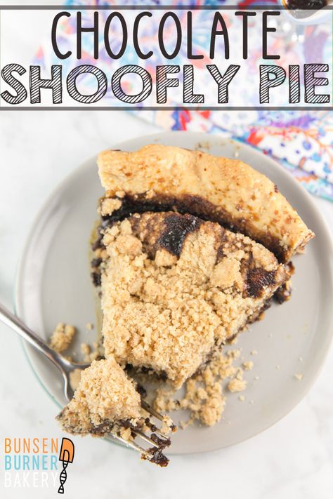 Chocolate Shoofly Pie: a traditional wet-bottomed Pennsylvania Dutch shoofly pie, updated with a little chocolate in the filling. #bunsenburnerbakery #shooflypie #molasses #crumbpie via @bnsnbrnrbakery Chocolate Shoofly Pie Recipe, Food Photography Chocolate, Best Pie Recipes, Photography Chocolate, Shoofly Pie, Pies Recipes, Shoo Fly, Best Pie, Easy Pie