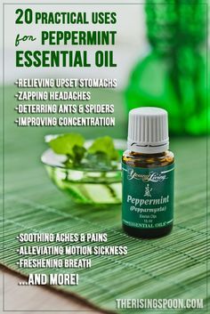 20 Practical Uses For Peppermint Essential Oil | therisingspoon.com Peppermint Oil For Headaches, Peppermint Essential Oil Young Living, Peppermint Oil Uses, For Headaches, Yl Oils, Oil Remedies, Young Living Oils, Peppermint Oil, Oil Uses