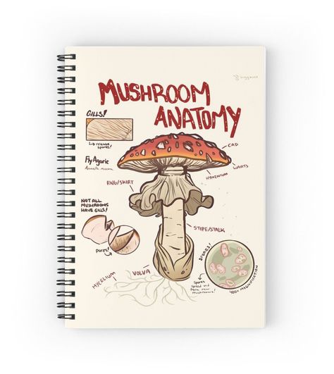 Anatomy Of A Mushroom, Mushroom Anatomy Drawing, Mushroom Journal Page, Sketchbook Front Page Ideas, Mushroom Diagram, Mushroom Anatomy, Anatomy Journal, Mushroom Notebook, Mushroom Journal