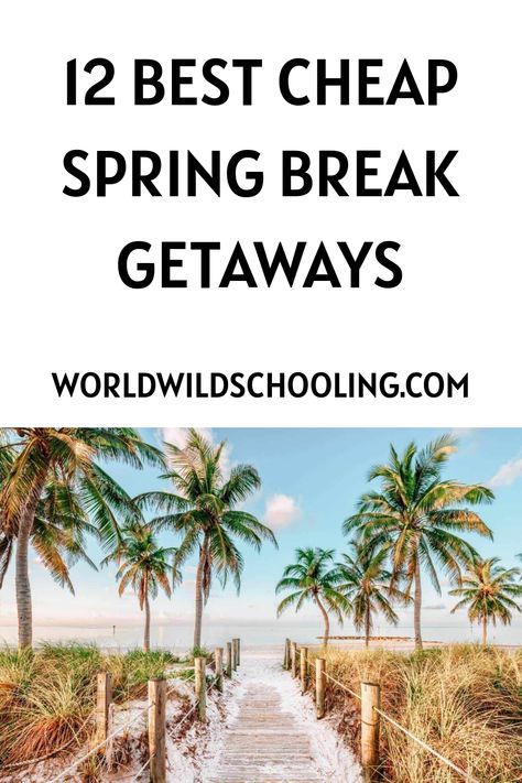 Finding the best cheap spring break destinations doesn’t have to be a headache. These affordable spring break trips take the guesswork out of planning. Budget-friendly spring break destinations are all about making your money go further. Low-cost spring break getaways mean you get to have an amazing time without overspending. Don’t forget to save this pin for when you need an affordable vacation idea. You’ll be glad you did when spring break comes around! Spring Break Getaways, Cheap Travel Destinations, Thailand Map, Nature Destinations, Spring Break Destinations, Affordable Vacations, Spring Break Trips, Destin Hotels, Destin Beach