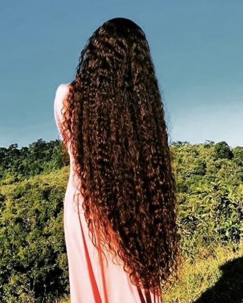 Long Big Curly Hair, Big Long Curly Hair, Super Long Curly Hair, Long Shiny Curly Hair, Long Curly Black Hair, Hair Goals Long, Long Wild Curly Hair, Extremely Long Curly Hair, Healthy Curly Hair