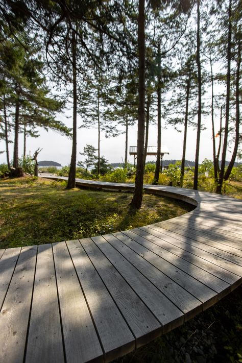 Beach Entrance Design, Boardwalk Landscape, Forest Spa, Landscaping Entrance, Amatitlan, Boardwalk Beach, River Bar, Lake Landscaping, Beach Architecture