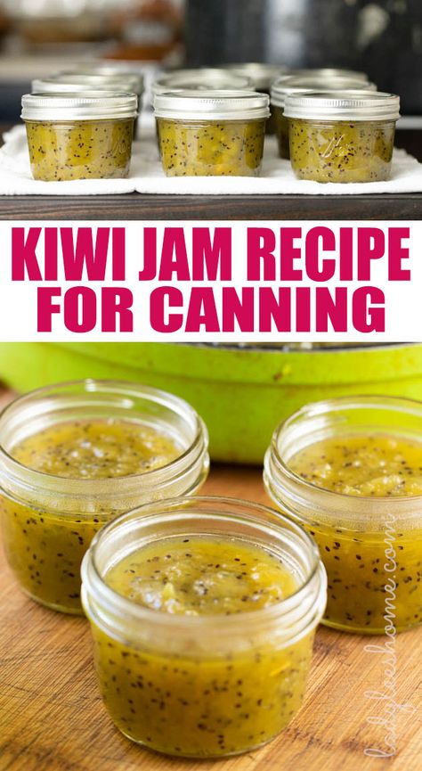 Kiwi Jam Canning, Canning Kiwi, Kiwi Jam Recipe, Kiwi Jelly, Kiwi Jelly Recipe, Kiwi Recipes Dessert, Kiwi Jam, Kiwi Recipes, Kiwi Berries