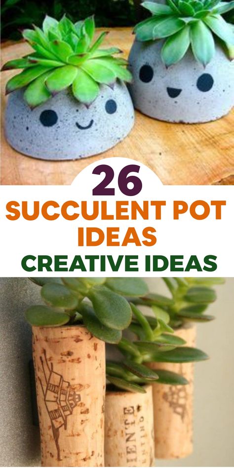 Elevate your succulent game with these creative pot ideas! Add a whimsical touch to your plant display by using unique and unconventional pots that will surely make them stand out. Turn your succulent arrangements into eye-catching focal points that exude charm and style. Let your green oasis reflect your personality with these unusual succulent pots that bring a whole new level of creativity to your space. Try something different and make a statement with your planters today! Unique Planter Ideas Indoor, Cute Planter Ideas, Succulent Pot Ideas, Planter Ideas Indoor, Cute Succulent Pots, Easy Indoor Plants, Succulent Ideas, Creative Planter, Green Oasis