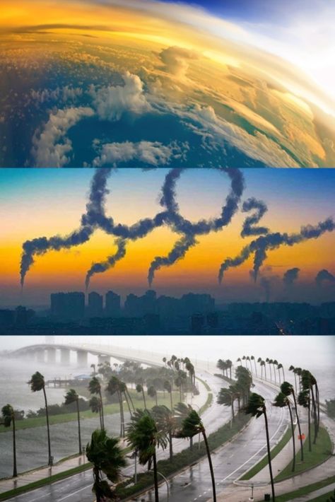 Unveil the truth behind climate change and its causes, from the Industrial Revolution's impact to the role of human activities. Understand the significance of greenhouse gases and their amplifying effect on Earth's temperature. Dive into the link between carbon emissions, economic inequality, and global warming. Discover how our choices can shape a more sustainable future. 🌍🌡️ #ClimateChangeCauses #EnvironmentalImpact #SustainableFuture Environmental Crisis, Environmental Movement, Livestock Farming, The Industrial Revolution, Human Activity, Sustainable Future, Industrial Revolution, Our Planet, Fossil