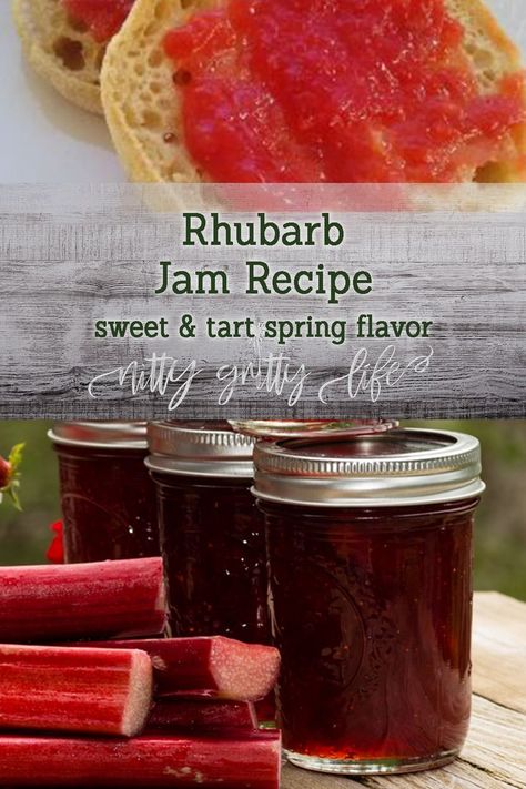 The rosy, ruby hue of this delightful rhubarb jam will shake you right out of the winter blues and the flavor will brighten up anything you add it to! #rhubarb #recipes #canning #foodpreservation #jam #jamrecipes #homesteading #selfsufficiency Waterbath Canning Recipes, Rhubarb Jam Recipes, Canning Ideas, Homemade Jelly, Rhubarb Jam, Foraged Food, Homestead Living, Adorable Kittens, Rhubarb Recipes