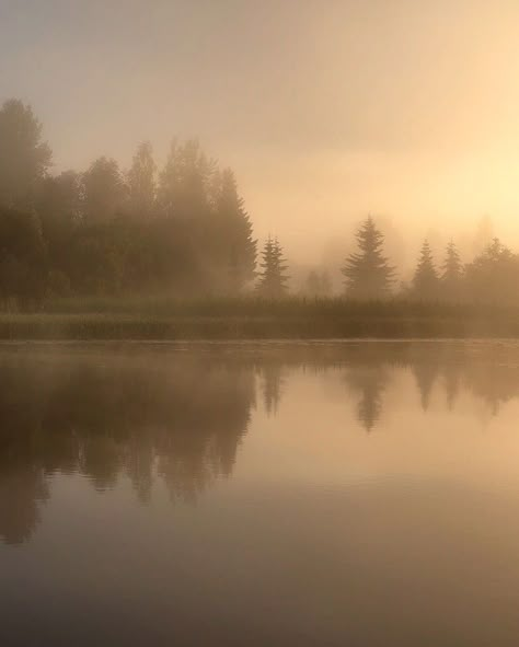 Soft Light Photography, Foggy Lake, Fog Photography, Misty Dawn, Lake Photoshoot, Abstract Inspiration, Kunst Tattoos, Sepia Photography, Forest Light