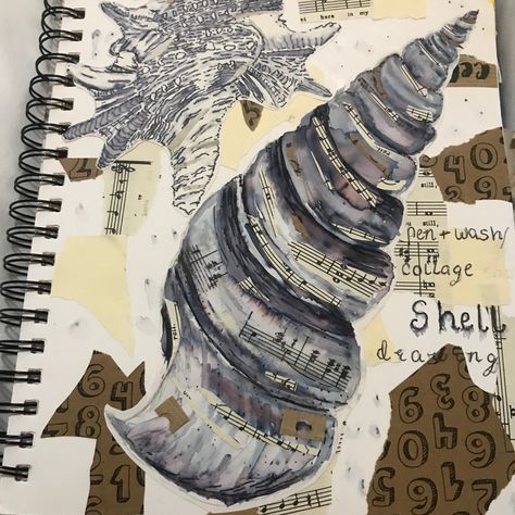 Ocean Gcse Art, Gcse Art Sketchbook Shells, Shells Gcse Art Sketchbook Pages, Gcse Art Final Piece Sea Life, Gcse Art Sketchbook Seaside, Gcse Art Sketchbook Under The Sea, Gcse Sketchbook, A Level Art Sketchbook, Sketchbook Ideas