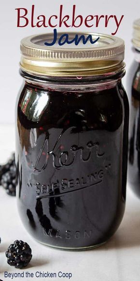 Blackberry Jelly Recipe, Seedless Blackberry Jam, Blackberry Jam Recipe, Homemade Blackberry Jam, Blackberry Jam Recipes, Canning Jam Recipes, Toast For Breakfast, Blackberry Recipes, Jam Recipes Homemade