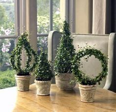 Topiary Shapes, Myrtle Topiary, Lavender Topiary, Ivy Topiary, Live Topiary, Topiary Diy, Topiary Plants, Topiary Garden, Tafel Decor