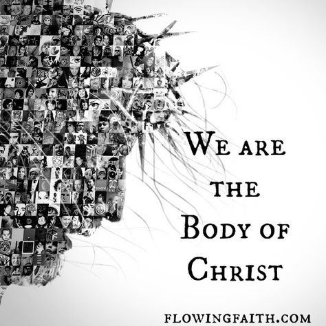 the body of christ | We Are the Body of Christ Church Worship, Abstract Ideas, Likeable Quotes, Daily Grace, Body Of Christ, We Are All One, Christian Friends, God Is Real, Jesus Bible