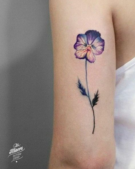 Violet- flower of February | Violet flower tattoos, Violet ... #tattoosforwomen #tattooideas February Flower Tattoo, Petunia Tattoo, Pansy Tattoo, February Flower, Purple Flower Tattoos, Violet Flower Tattoos, Wildflowers Tattoo, Violet Tattoo, Flower Tattoo Meanings