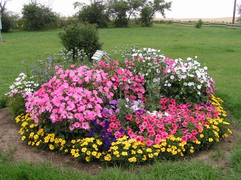 Circle Flower Bed, Corner Flower Bed, Rock Flower Beds, Front Lawn Landscaping, Landscaping Around Trees, Garden Flower Beds, Wild Garden, Cottage Garden Design, Garden Wallpaper