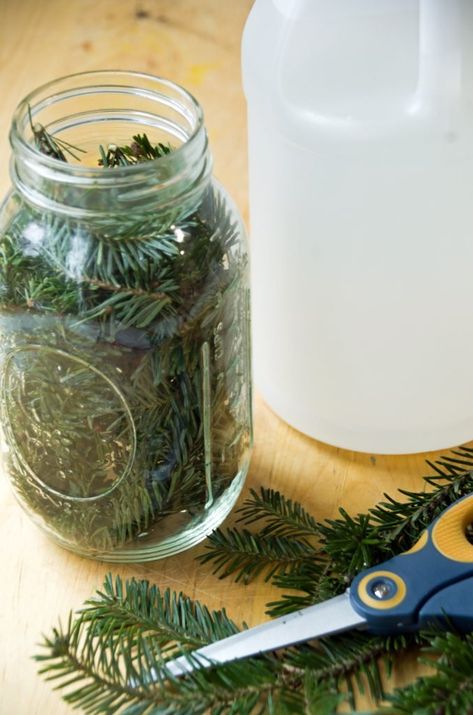 Pine Vinegar Homemade Kitchen Cleaner Homemade Kitchen Cleaner, Vinegar For Cleaning, Scented Vinegar, Vinegar Cleaner, Cleaning Painted Walls, Vinegar Cleaning, Deep Cleaning Tips, Kitchen Cleaner, Homemade Cleaning Products