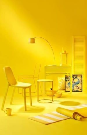 Though you’re probably not going to douse your entire living room in a coat of yellow paint, don’t let that stop you from adding pops of the cheery hue to different spaces throughout your home. Yellow, Flowers, Furniture, White