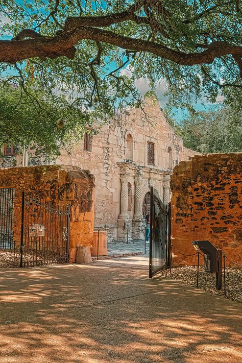 Brackenridge Park San Antonio, Best Beaches In Texas, San Antonio Travel, San Antonio Vacation, Alamo San Antonio, Texas Trip, San Antonio Photography, San Antonio Missions, Buckle Bunny