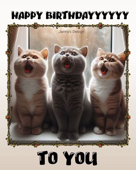 Cat Birthday Wishes, Funny Happy Birthday Messages, Happy Birthday Wishes Pics, Cute Birthday Wishes, Happy Birthday Wishes Messages, Birthday Wishes Pics, Happy Birthday Cat, Funny Happy Birthday Wishes, Birthday Greetings Friend