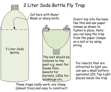 I'm gonna try water bottles. It worked but with green bottles, not clear! House Fly Traps, Homemade Fly Traps, Diy Fly Trap, Bug Trap, Mosquito Trap, Best Chicken Coop, Japanese Beetles, Fly Repellant, Fly Trap