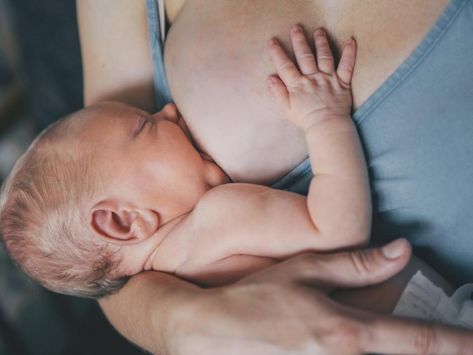 Durante el embarazo y, sobre todo, en la lactancia, juegan un papel decisivo para mantener lubricado y protegido el pezón gracias a la sustancia que expulsan cuando se estimula esta parte tan delicada del cuerpo de la mujer. Breastfeeding Latch, Mother Baby Photography, Breastfed Baby, Baby Center, Nursing Mom, Breastfeeding Tips, Mother And Baby, Baby Boy Newborn, Halle