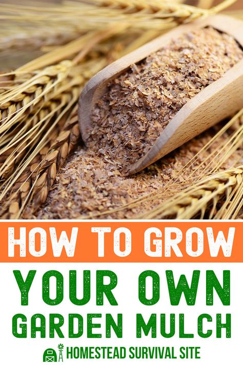 Learn how to make your own garden mulch and save time and money. Discover the benefits of mulch for water conservation and weed control. Homestead Rescue, Gardening Knowledge, Affordable Landscaping, Wood Chip Mulch, Gardening Essentials, Homestead Lifestyle, Garden Mulch, Miracle Grow, Sustainable Gardening