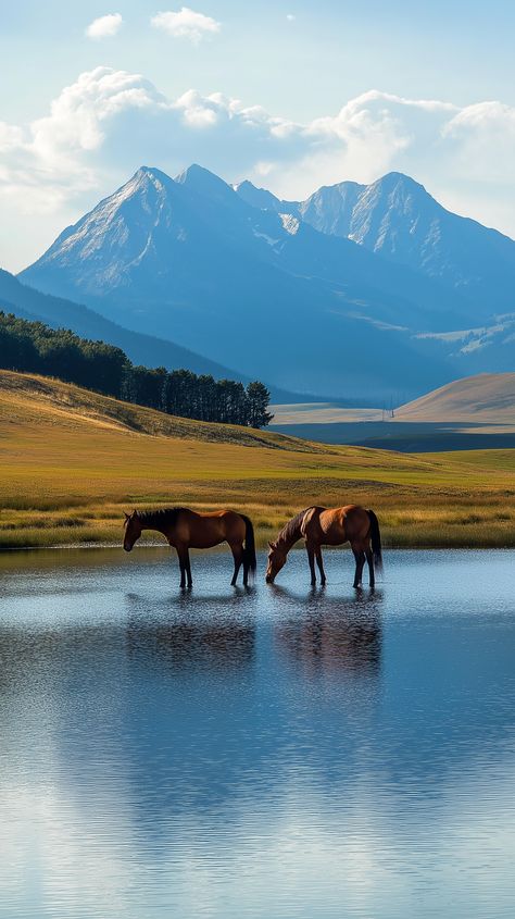 🏞️✨ Discover the epitome of luxury at our Montana ranch! 🐎✨ Nestled by a serene lake with breathtaking mountain views, our majestic horses roam freely, embodying the spirit of the wild. 🏔️🌊 Experience the tranquility and beauty of nature, where every ride is a journey through stunning landscapes. 🌅🐴 Come find your adventure on horseback in this idyllic setting! #MontanaRanch #LuxuryLiving #MountainViews #HorsebackRiding... Montana Ranch, Horse Illustration, Horse Wallpaper, Horse Ranch, Ranch Life, Majestic Horse, Luxury Art, Horse Photos, Nature Images